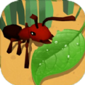 蚂蚁进化3d进化实验室苹果